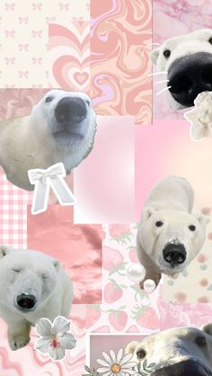 polar bear collage with pink, white and blue flowers in the background for wallpaper
