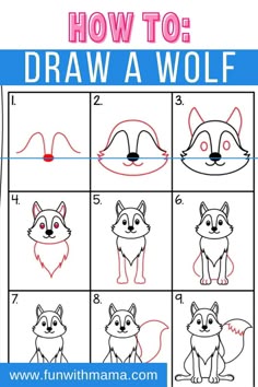 how to draw a wolf step by step instructions for children and adults with pictures on it