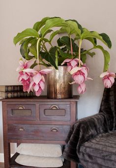 some pink flowers are in a metal vase