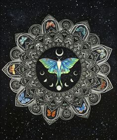 an artistic artwork with butterflies and moon phases on the black background, surrounded by stars