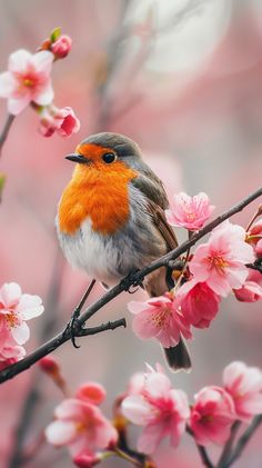 a small bird sitting on top of a tree branch with pink flowers in the background