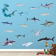 a child's room with shark wall decals and a teddy bear sitting on the floor