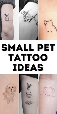 small pet tattoo ideas for dogs and cats on the back of their legs, with text overlay that reads small pet tattoo ideas