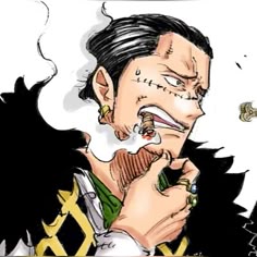 Sir Crocodile icon | One Piece Crocodile One Pieve, Crocidile One Piece, One Piece Characters Pfp, Crocodile Manga Colored, Crocodile Icons, Crocodile Manga Color, Jolly Roger One Piece Wallpaper, Onepiece Icon, Mr Crocodile