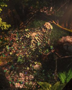 an image of a skeleton in the woods with leaves on it's back ground