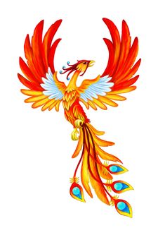 a colorful bird flying through the air with its wings spread