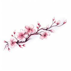 a branch with pink flowers is shown on a white background