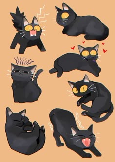 a bunch of black cats laying on top of each other with different expressions and shapes