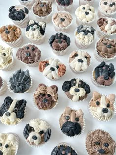 cupcakes made to look like dogs with different colored icing on them, sitting on a white surface