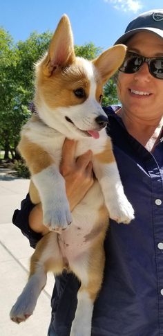 a man is holding a small dog in his arms while wearing sunglasses and a baseball cap
