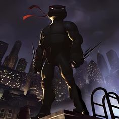 a man in a ninja suit standing on top of a building