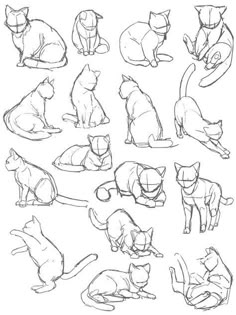 Cat Pose Reference Drawing, Cat Poses For Drawing, Crouching Cat Drawing, Cat Drawing Manga, Cat Postures, Animal Drawings Reference, Cute Cat Reference, Anime Cat Pose, Cat Scetch
