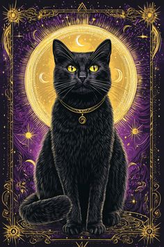 a black cat sitting in front of a full moon