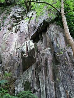 a large rock formation with trees growing on it