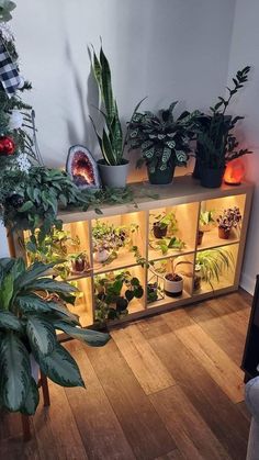 a room filled with lots of potted plants next to a wall mounted shelf full of houseplants