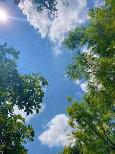 the sun shines brightly through the trees