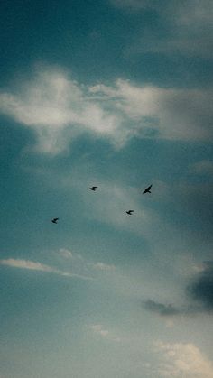 three birds flying in the sky on a cloudy day