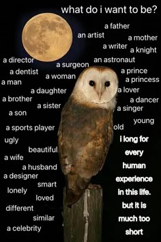 an owl sitting on top of a wooden post with the words what do i want to be?