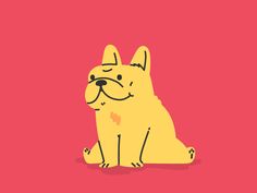 a yellow dog sitting on top of a red floor next to a pink wall with the word
