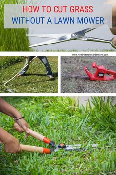 how to cut grass without a lawn mower - step by step instructions on how to cut grass without a lawn mower