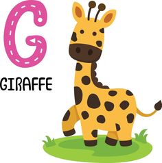 the letter g is for giraffe