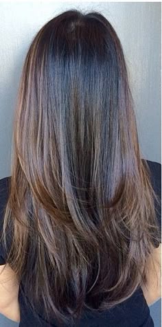 Long Haircut Subtle Layers, Long Blended Layers Straight Hair, Subtle Long Layers, Subtle Layers For Long Hair, Long Blended Layers Straight, Layered Long Hair V Shape, Blended Long Layers Straight, Long Layered V Haircuts For Thick Hair, Hair Layers Long Straight