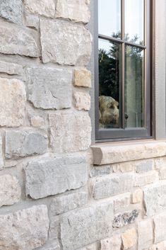 there is a dog that is looking out the window