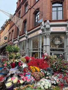 a bunch of flowers that are on the side of a building in front of a store