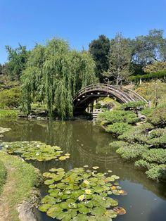 a bridge over water with lily pads in the foreground