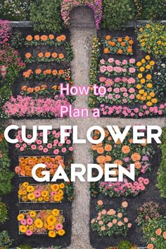 An aerial view of a well-organized cut flower garden featuring vibrant flower beds on a hill, accompanied by text about how to plan a cut flower garden, suitable for beginners.