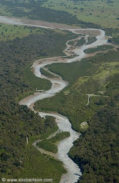 an aerial view of a river running through a lush green forest
