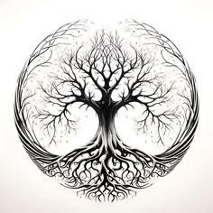 a drawing of a tree with many branches in the shape of a circle on a white background