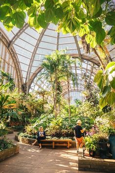 the inside of a large greenhouse with lots of plants and people sitting on benches in it