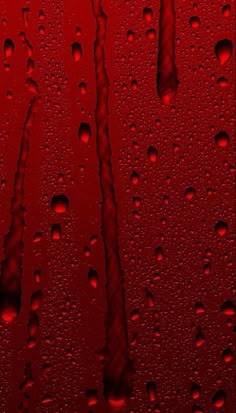 water drops on a red glass surface with trees in the background and one tree branch sticking out of the window