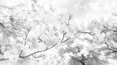 black and white photograph of tree branches with flowers in the foreground, on a sunny day