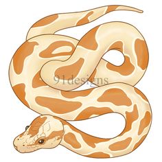 an orange and white snake curled up to the side with its head on it's back