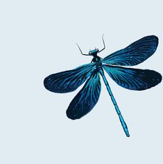 a blue dragon flys through the sky