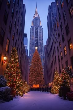 a large christmas tree surrounded by tall buildings