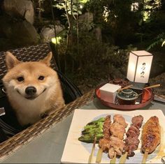 osaka | japan travel