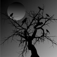 birds sitting on the branches of a tree at night royalty illustration