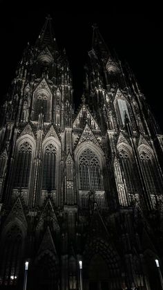 the large cathedral is lit up at night