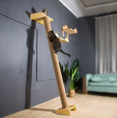 a cat climbing on a wooden pole in the middle of a room with blue couches
