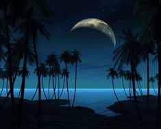 palm trees and the moon are lit up in the night sky