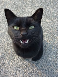 a black cat is looking up at the camera with its mouth wide open and green eyes