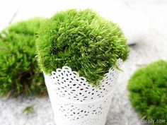 a white vase filled with green moss sitting on top of a cement floor covered in snow