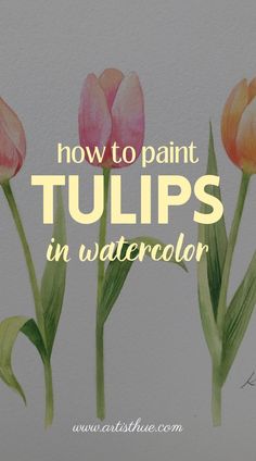 three tulips with the words how to paint tulips in watercolor
