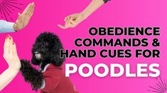 a group of people holding their hands up in the air with text over them that reads, obedience commands and hand cues for poodles