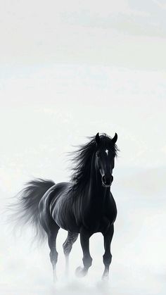 a black horse is running in the snow