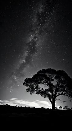 the night sky is filled with stars above a tree