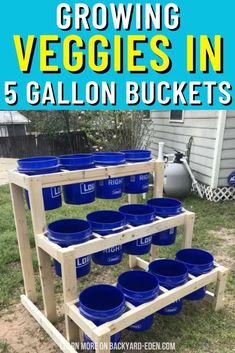 growing veggies in 5 gallon buckets with text overlay reading growing veggies in 5 gallon buckets